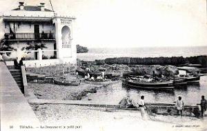 2494- Tipaza - Douane et Port - 1911